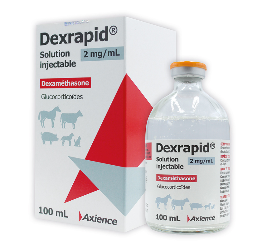 Dexrapid 2 mg/mL